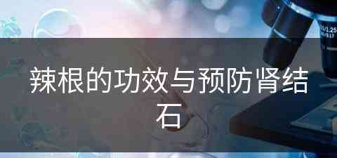 辣根的功效与预防肾结石(辣根的功效与预防肾结石有关吗)